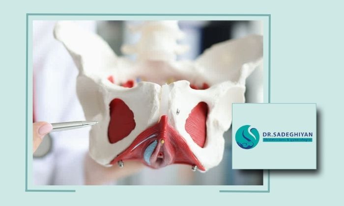  درمان واژینیسموس چگونه انجام می شود؟ بهترین روش های درمان