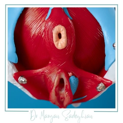 علائم انقباض غیرارادی واژن