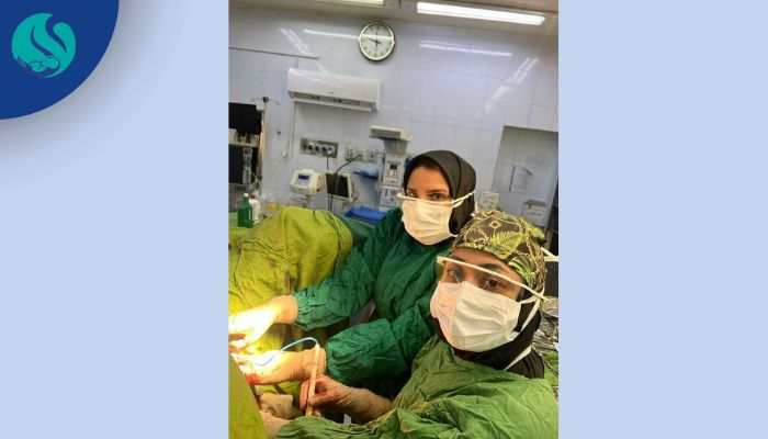 جراحی برداشتن فیبروم