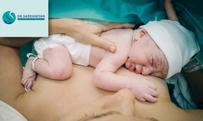 هر کدام برای چه افرادی مناسب‌تر است؟